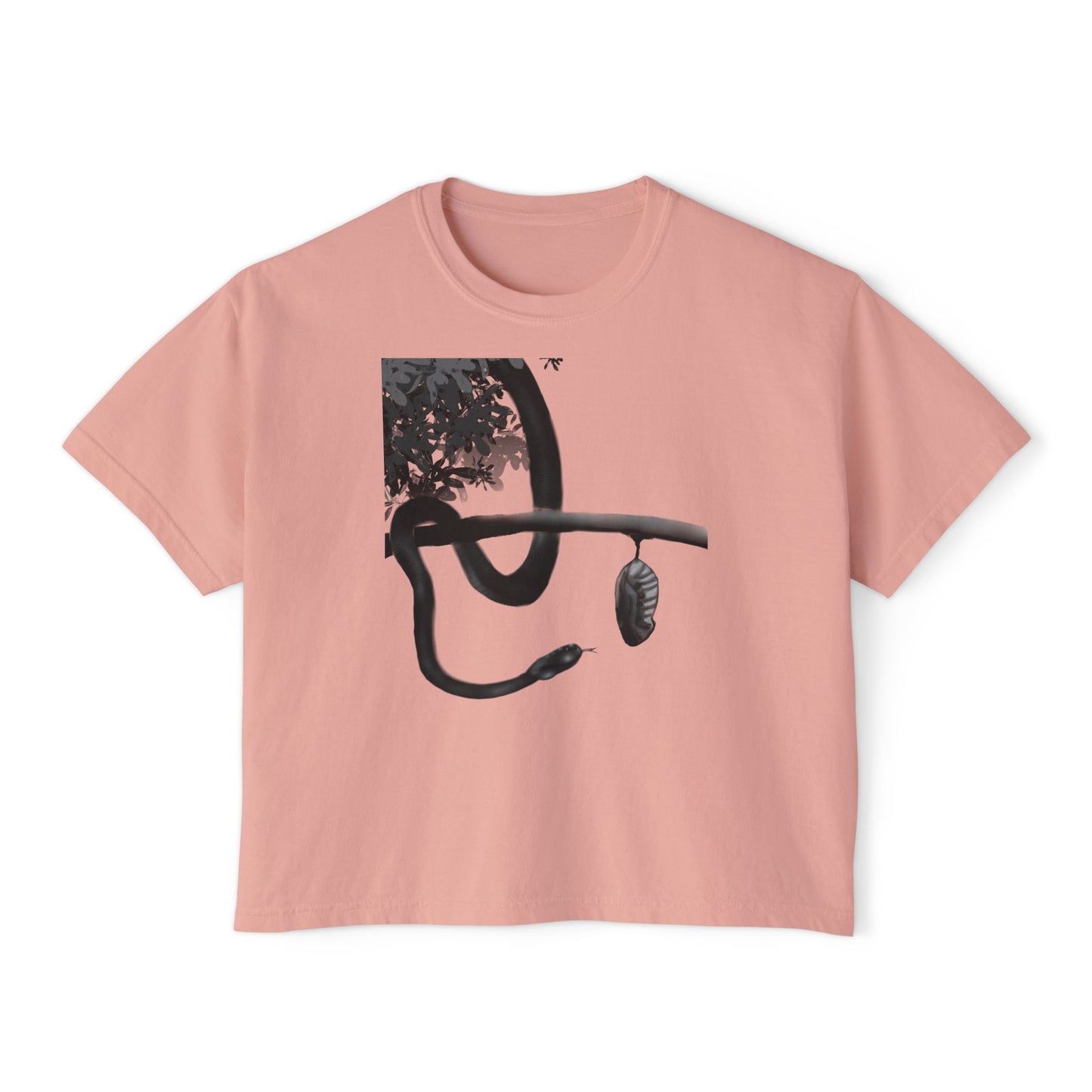 Metempsychosis snake and cocoon Women's Boxy Tee | philosophical graphic tee