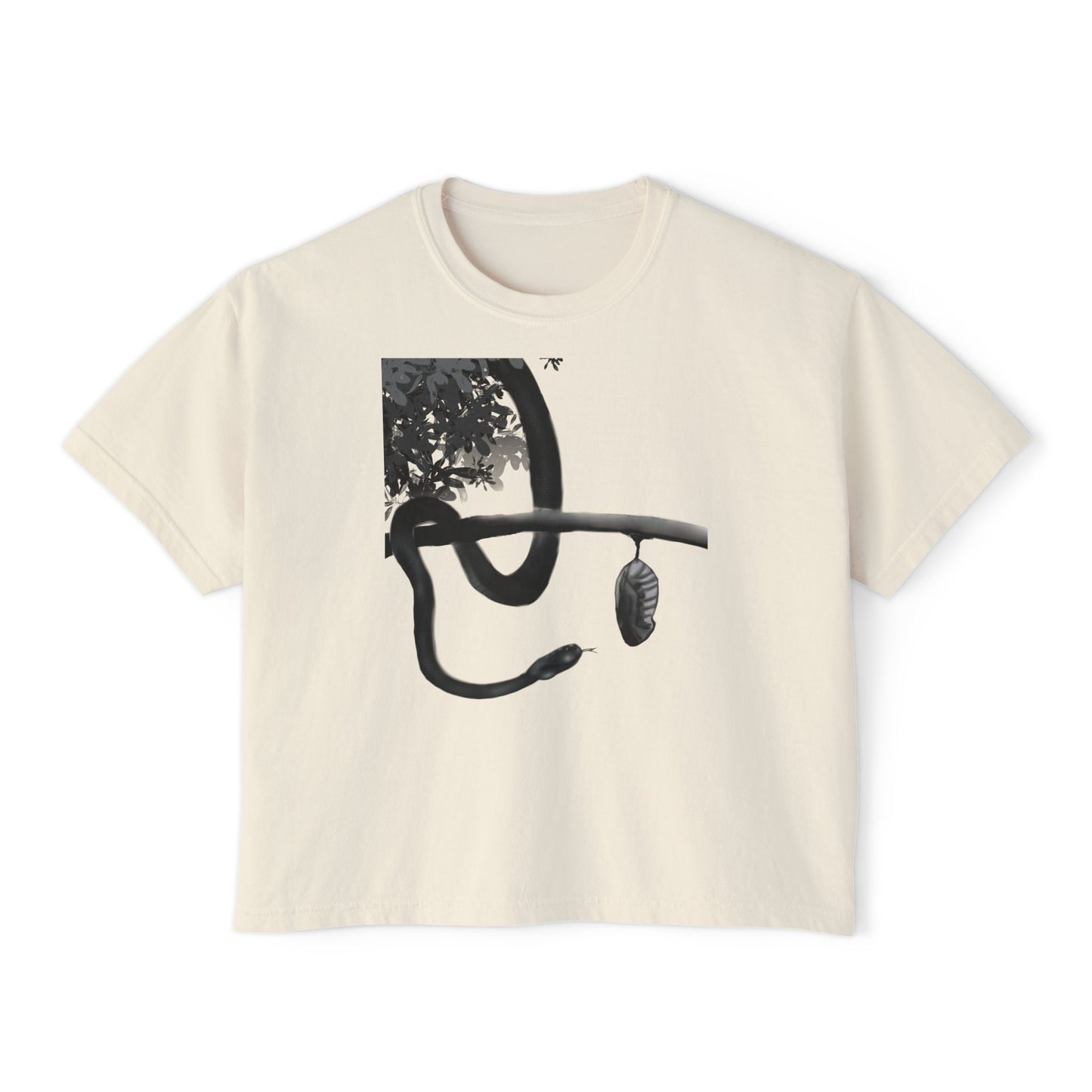 Metempsychosis snake and cocoon Women's Boxy Tee | philosophical graphic tee
