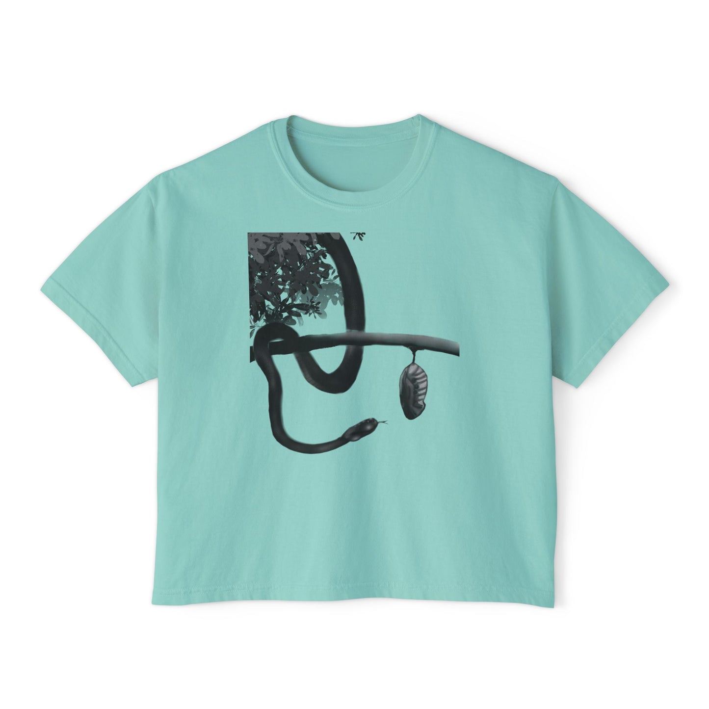 Metempsychosis snake and cocoon Women's Boxy Tee | philosophical graphic tee