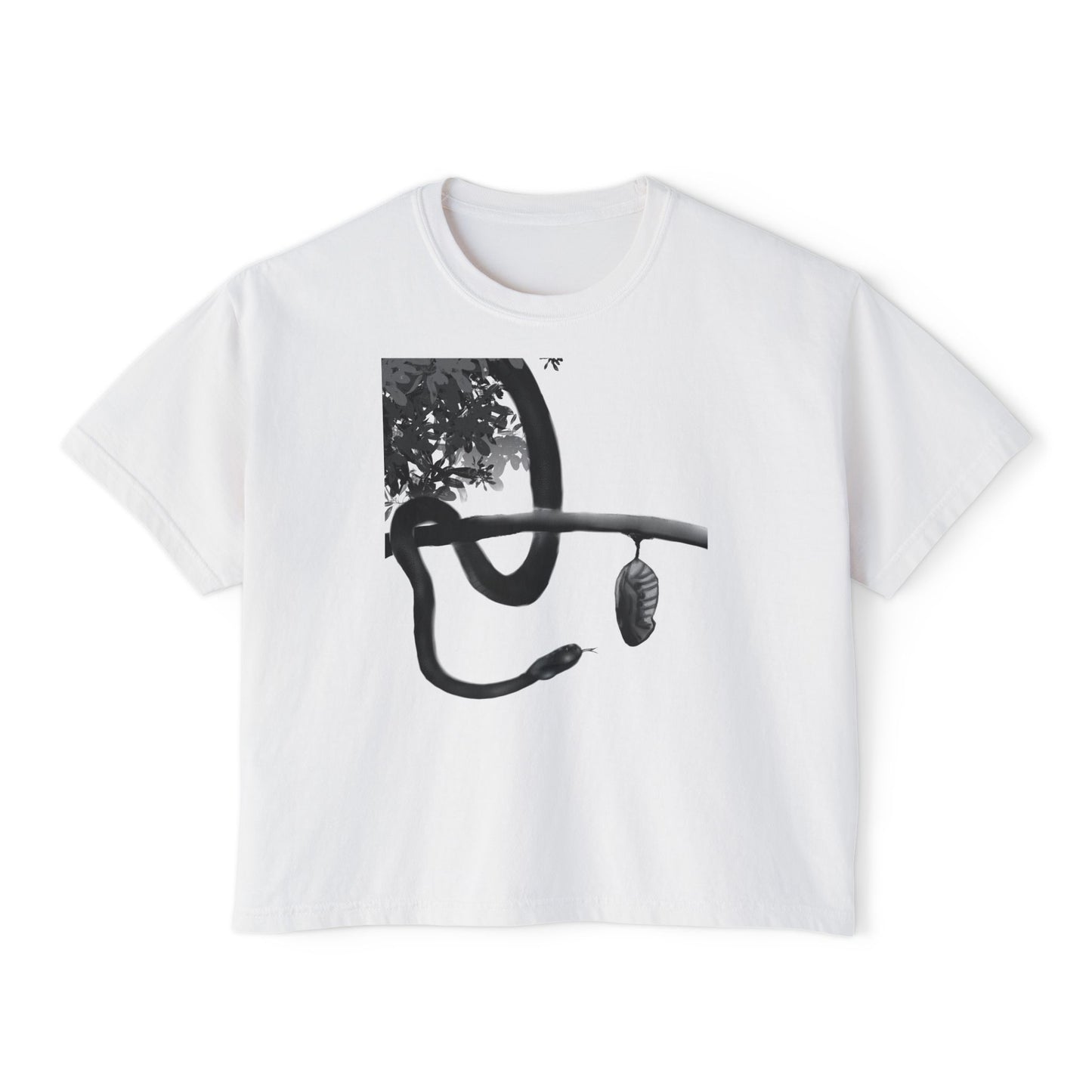 Metempsychosis snake and cocoon Women's Boxy Tee | philosophical graphic tee