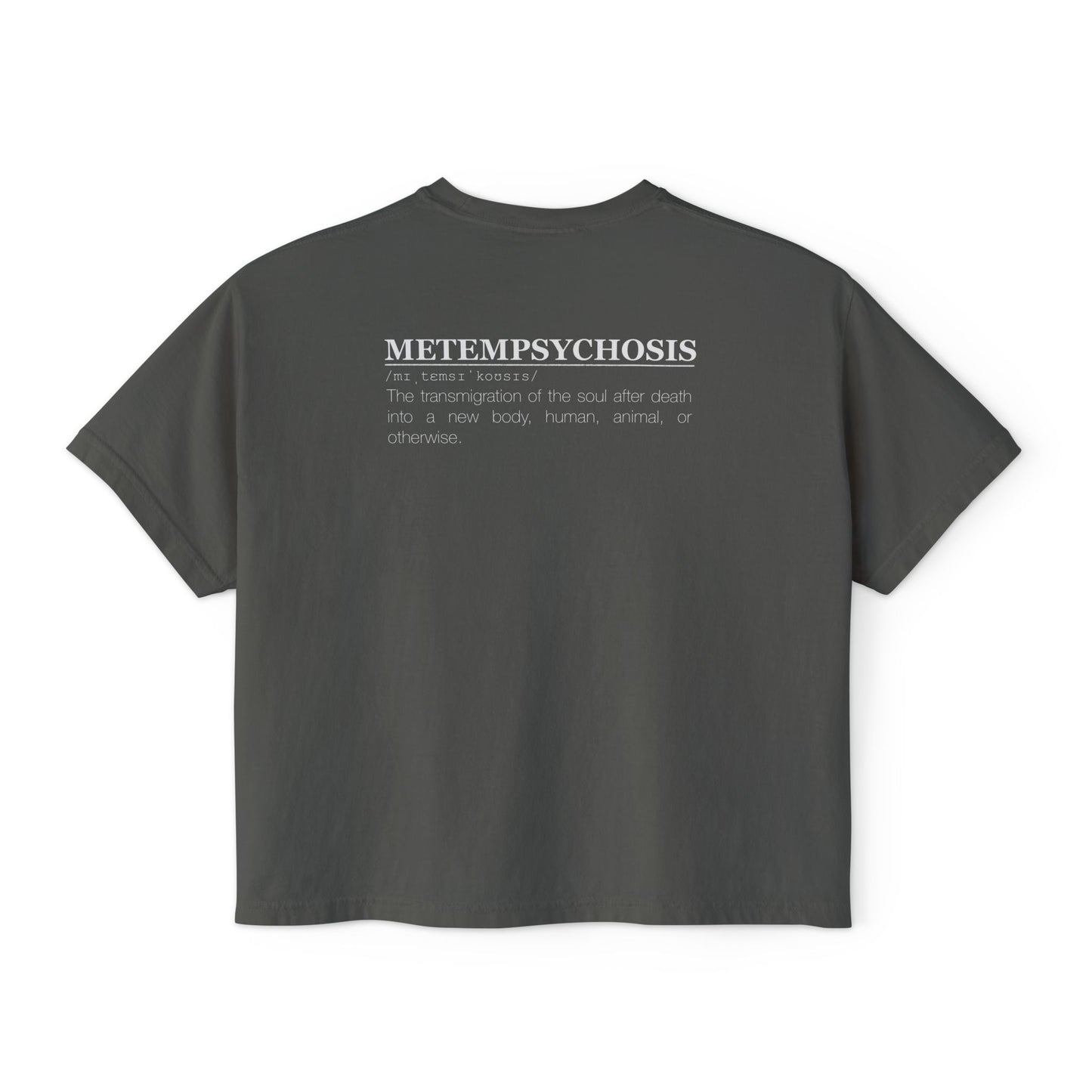 Metempsychosis snake and cocoon Women's Boxy Tee | philosophical graphic tee
