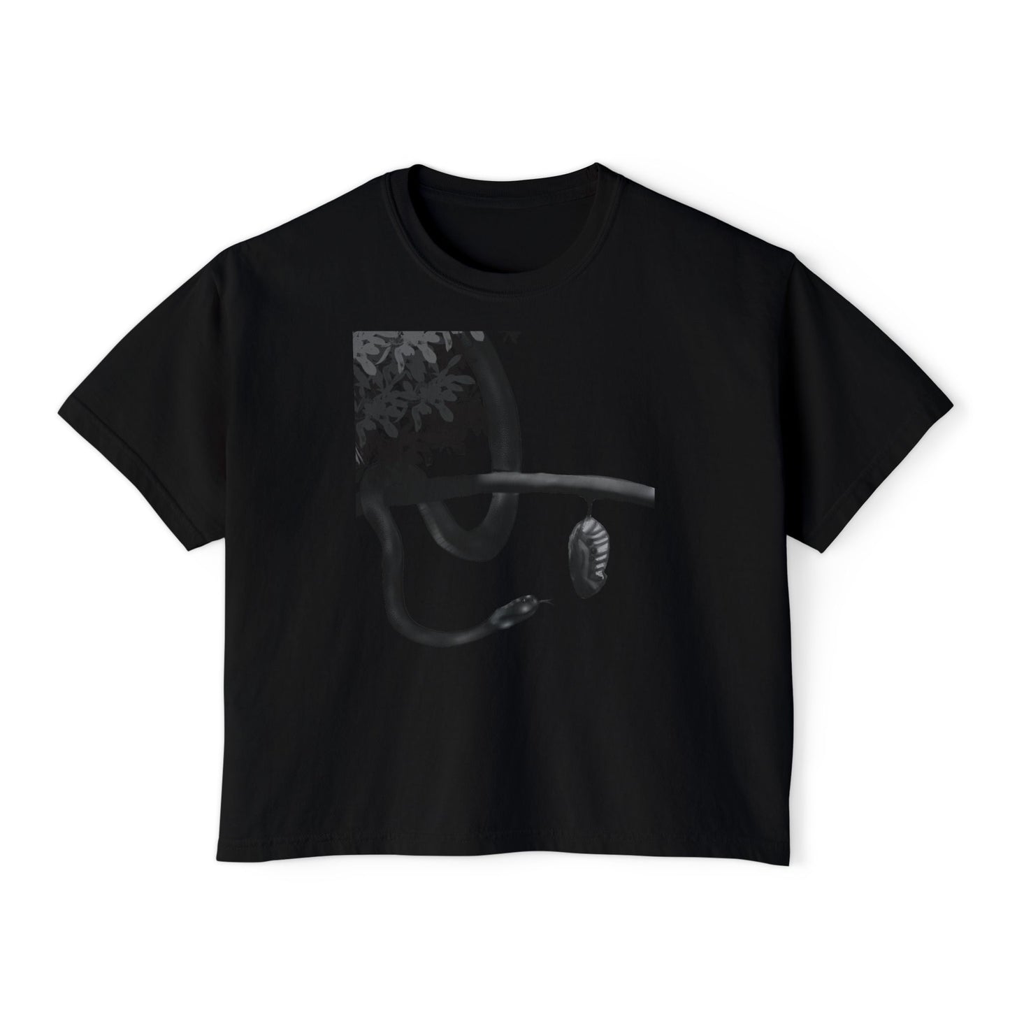 Metempsychosis snake and cocoon Women's Boxy Tee | philosophical graphic tee