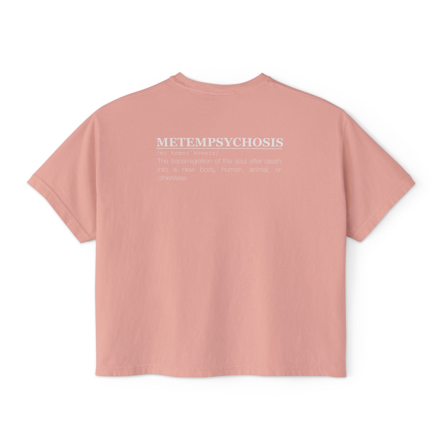 Metempsychosis snake and cocoon Women's Boxy Tee | philosophical graphic tee