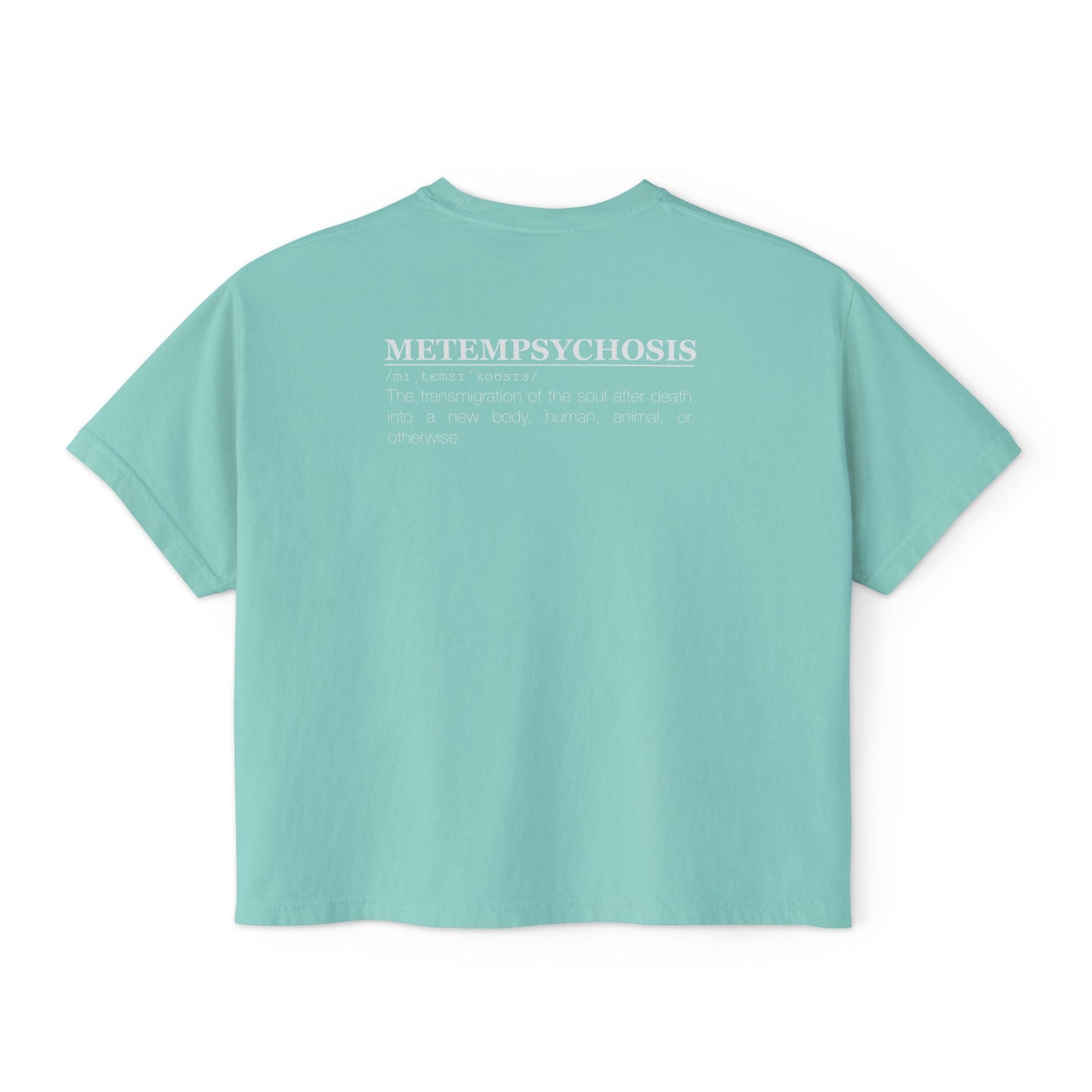 Metempsychosis snake and cocoon Women's Boxy Tee | philosophical graphic tee