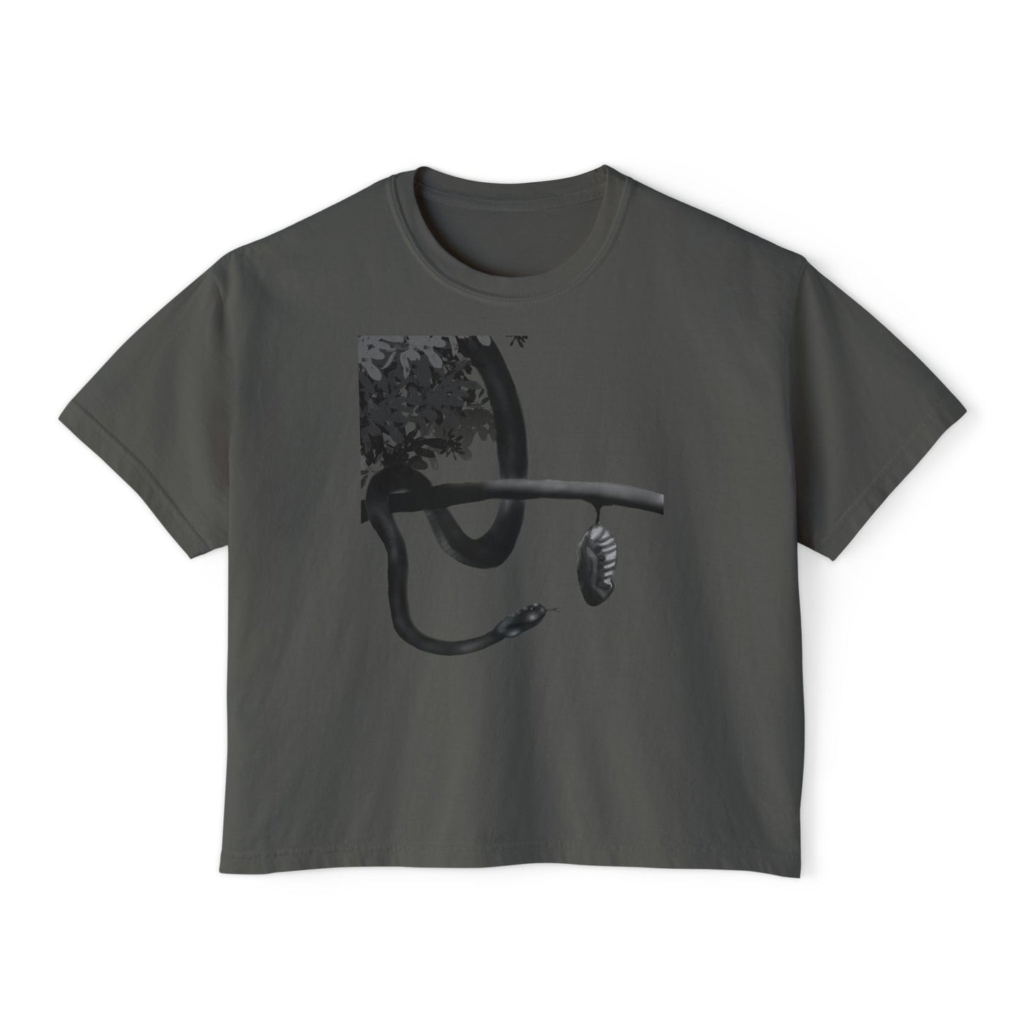 Metempsychosis snake and cocoon Women's Boxy Tee | philosophical graphic tee